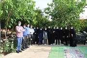 پیاده روی سلامت کارکنان مرکز آموزشی درمانی آنکولوژی امیر