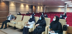 تاکید بر اجرای مراقبت در منزل در نشست هم اندیشی مراقبت حمایتی تسکینی
