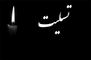 پیام مدیر عامل مؤسسه خیریه کمک رسانی و سرطان شناسی امیر حدائق در پی درگذشت «الهه احمدی» پرستار بیمارستان
