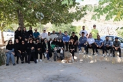 پیاده روی صبحگاهی کارکنان بیمارستان آنکولوژی امیر در بوستان کوهستانی دراک