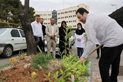 کاشت ۳ اصله «نهال امید» به یاد شهدای مدافع سلامت در بیمارستان آنکولوژی امیر